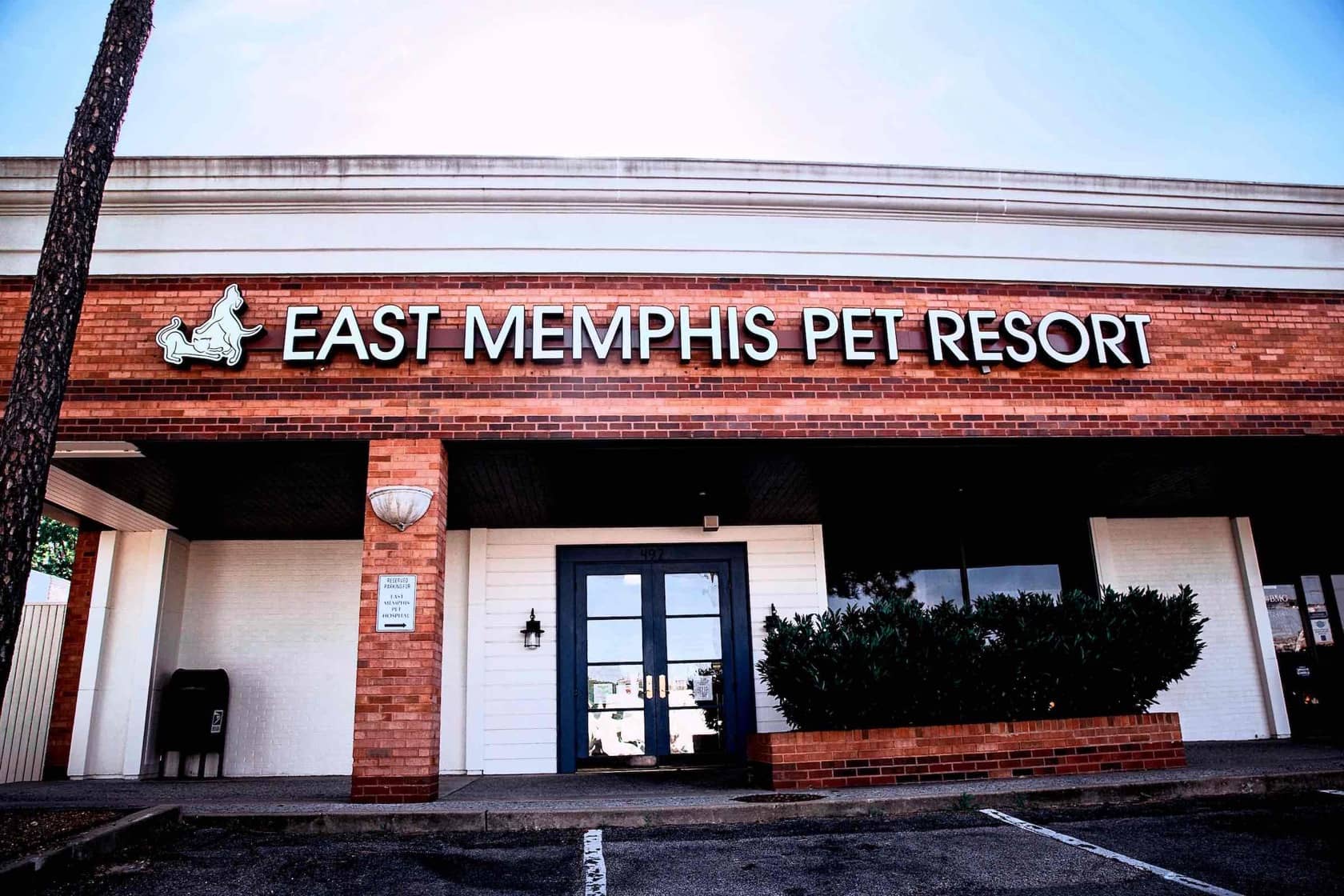 east memphis pet resort 3